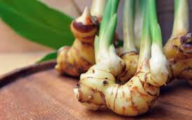 Củ riềng có tác dụng gì?