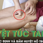 Hướng dẫn cách bấm huyệt túc tam lý hỗ trợ tiêu hóa