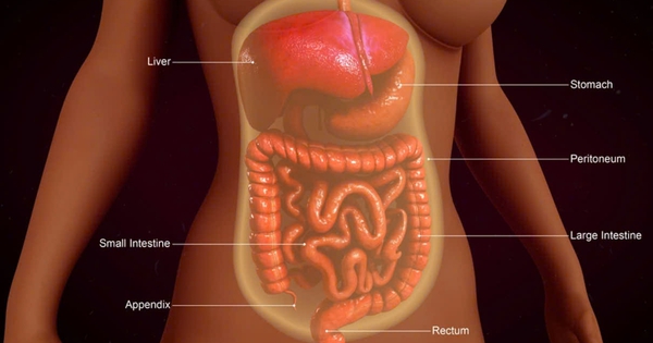 Ung thư phúc mạc phức tạp gia tăng, các chuyên gia hội tụ ở Singapore chia sẻ kinh nghiệm chẩn đoán, điều trị