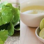 Mẹo chữa nám da từ rau má