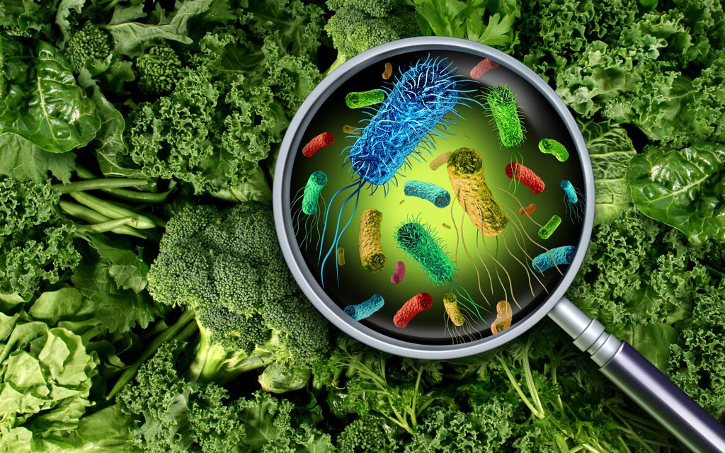 5 nhóm thực phẩm có nguy cơ nhiễm vi khuẩn Salmonella và cách phòng ngừa- Ảnh 3.