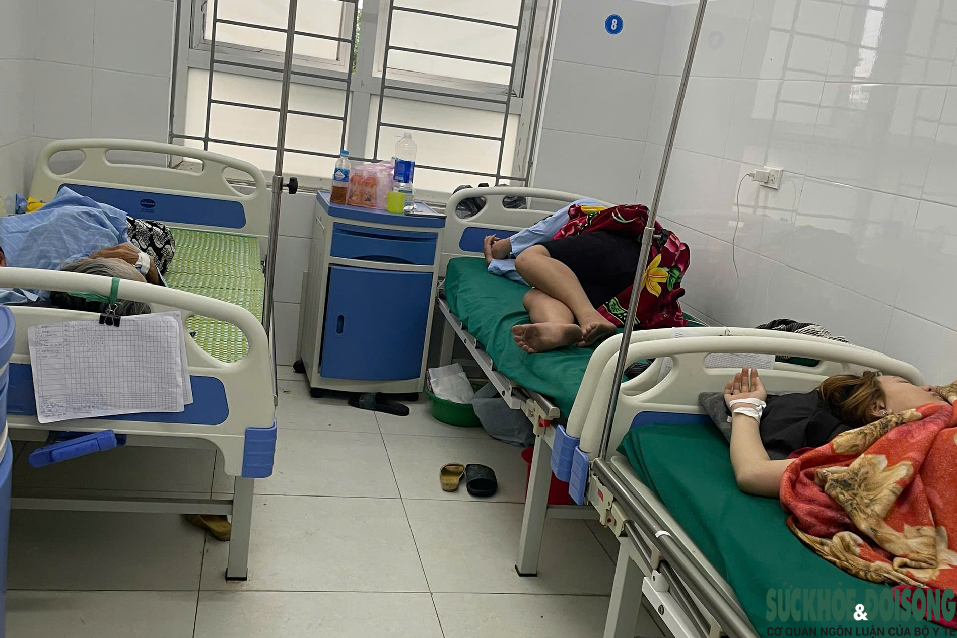 Diễn biến sức khỏe 20 người nghi ngộ độc bánh mì ở Nghệ An- Ảnh 1. Diễn biến sức khỏe 20 người nghi ngộ độc bánh mì ở Nghệ An- Ảnh 1.