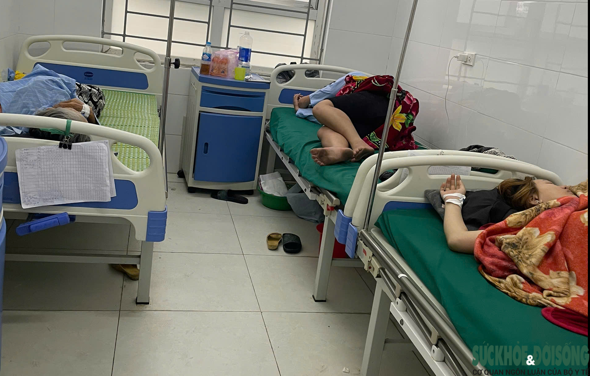 Nghệ An kêu gọi người từng mua bánh mì Quỳnh theo dõi sức khỏe sau vụ nghi ngộ độc thực phẩm- Ảnh 3. Nghệ An kêu gọi người từng mua bánh mì Quỳnh theo dõi sức khỏe sau vụ nghi ngộ độc thực phẩm- Ảnh 3.