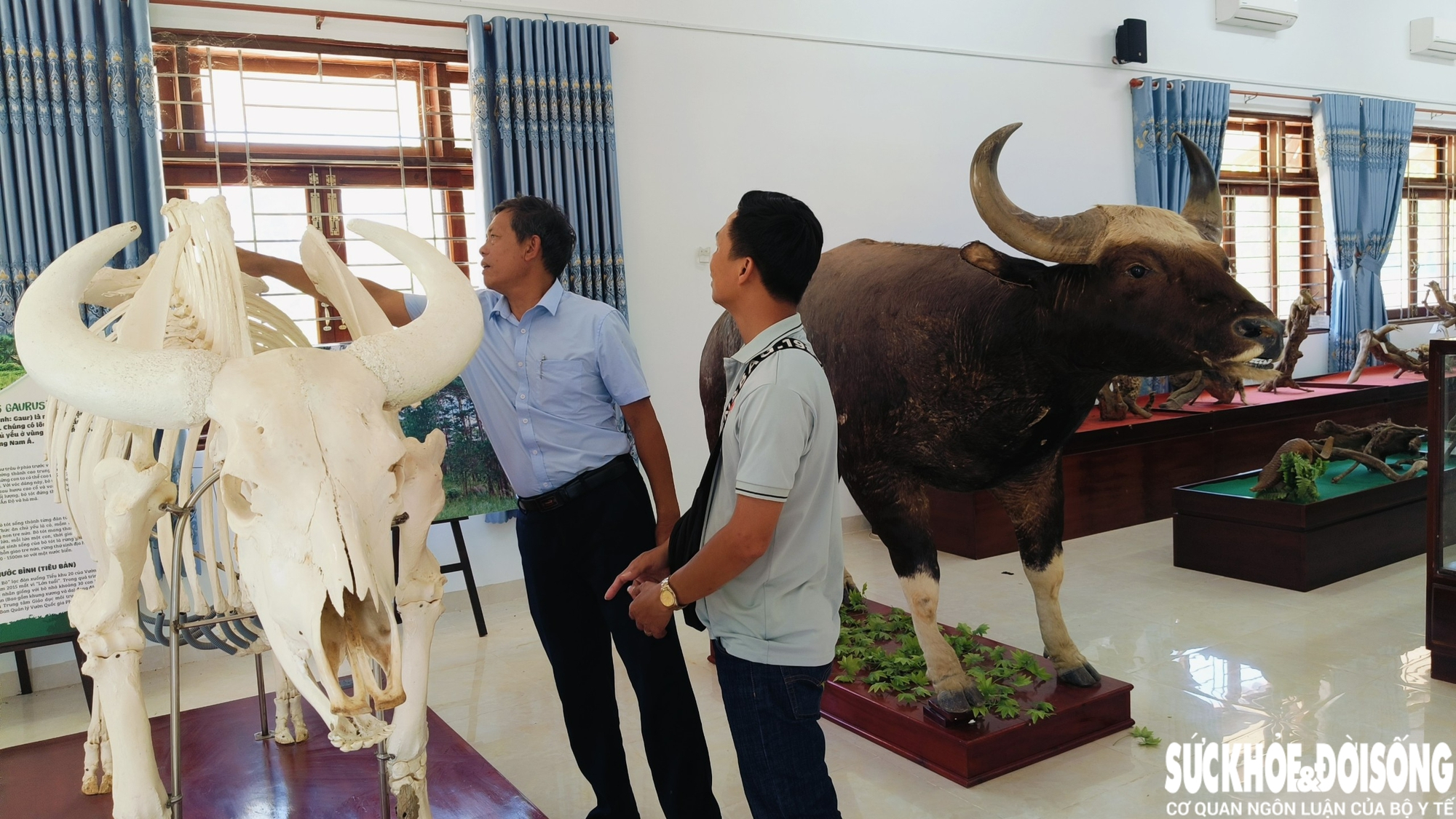 Đàn động vật quý hiếm ở Khánh Hòa thích nghi tốt, mở hướng bảo tồn nguồn gen quý- Ảnh 5. Đàn động vật quý hiếm ở Khánh Hòa thích nghi tốt, mở hướng bảo tồn nguồn gen quý- Ảnh 5.