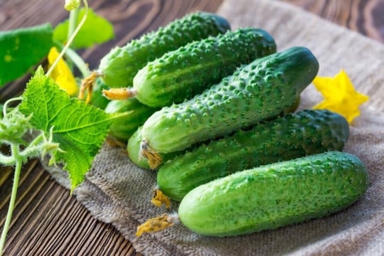 Ăn dưa chuột bị đắng có nguy hiểm không? Cách chọn dưa chuột không lo độc tố- Ảnh 1.