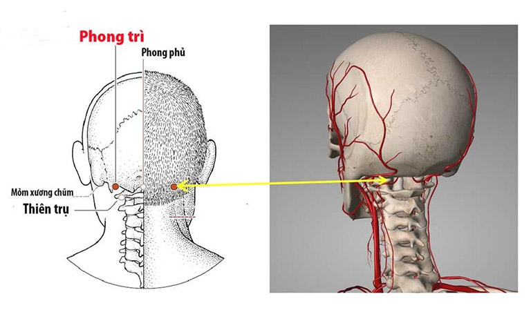 5 huyệt đạo giúp giảm chóng mặt, ù tai- Ảnh 1.