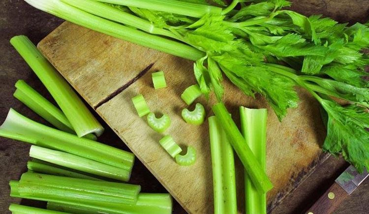 Tác dụng hạ huyết áp của cần tây - Ảnh 1. Tác dụng hạ huyết áp của cần tây - Ảnh 1.