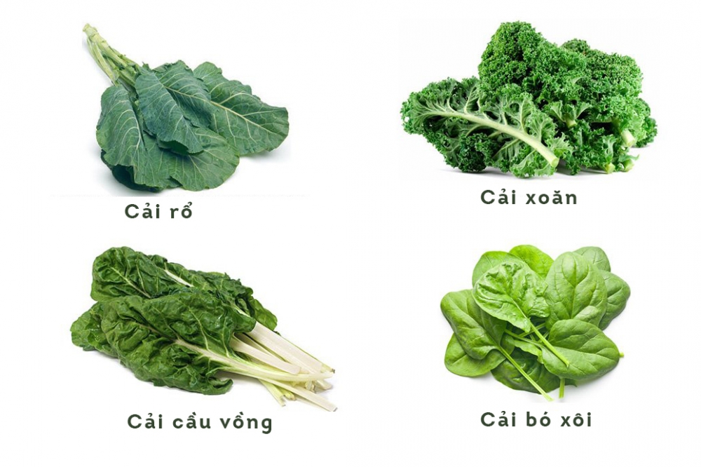 cai-15492018-231115154920-1776934079899609134471-1 5 loại rau lá xanh hỗ trợ chức năng tuyến giáp- Ảnh 1.