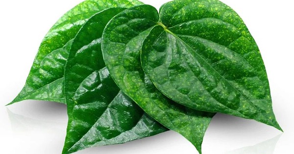 Y Học Cổ Truyền