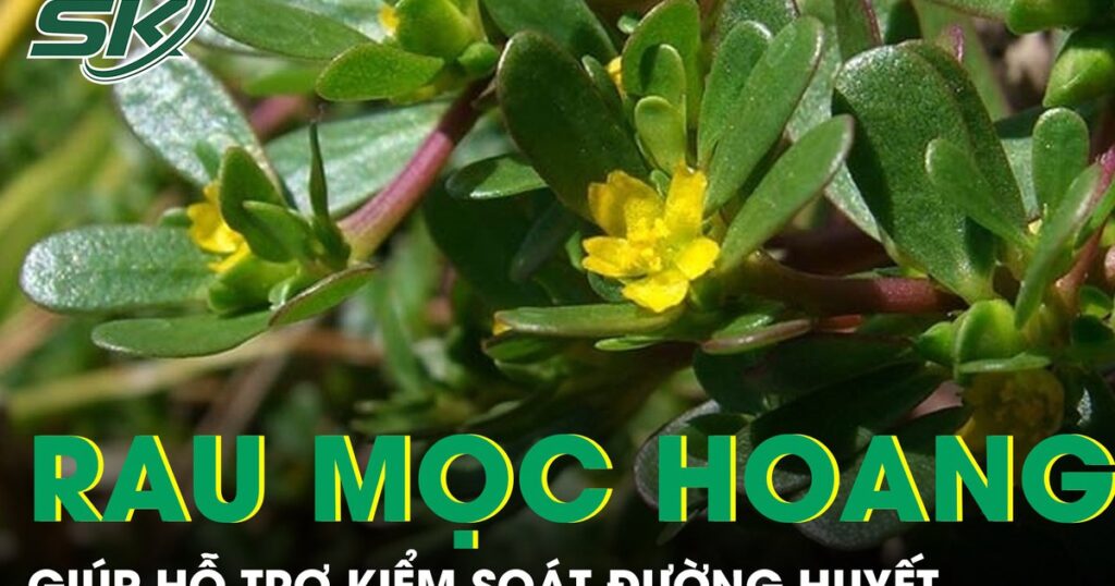 Y Học Cổ Truyền