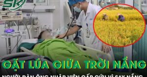 Gặt lúa giữa trời nắng gắt, người đàn ông nhập viện cấp cứu