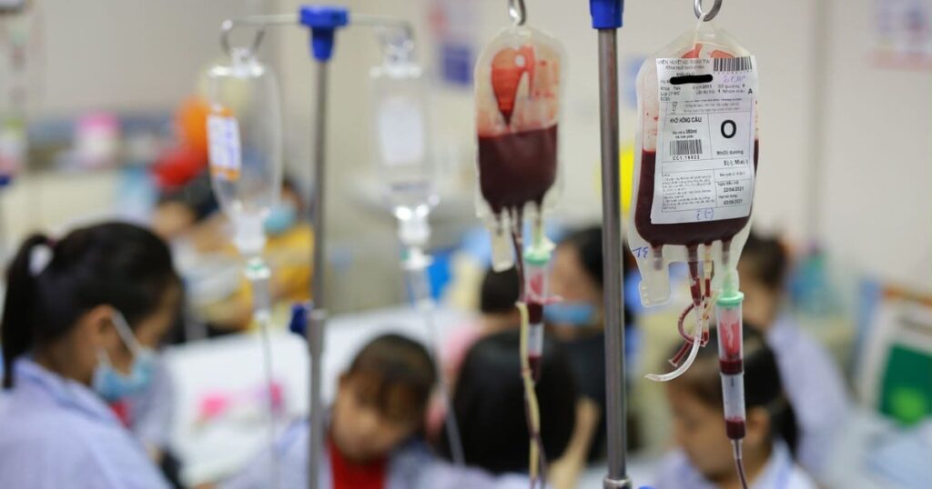 Ngày Thalassemia Thế giới (8/5): Nhiều người mang gen bệnh mà không biết