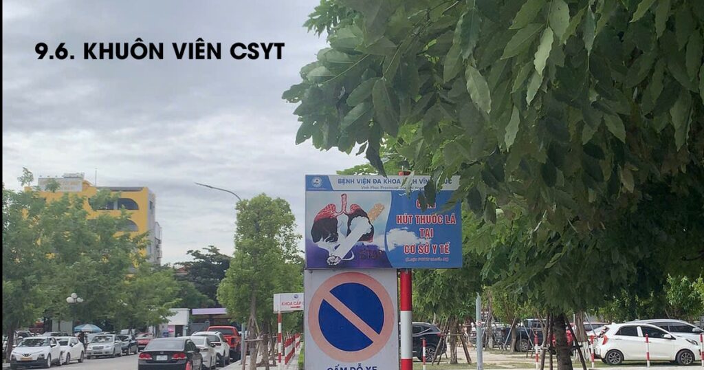 Y Tế