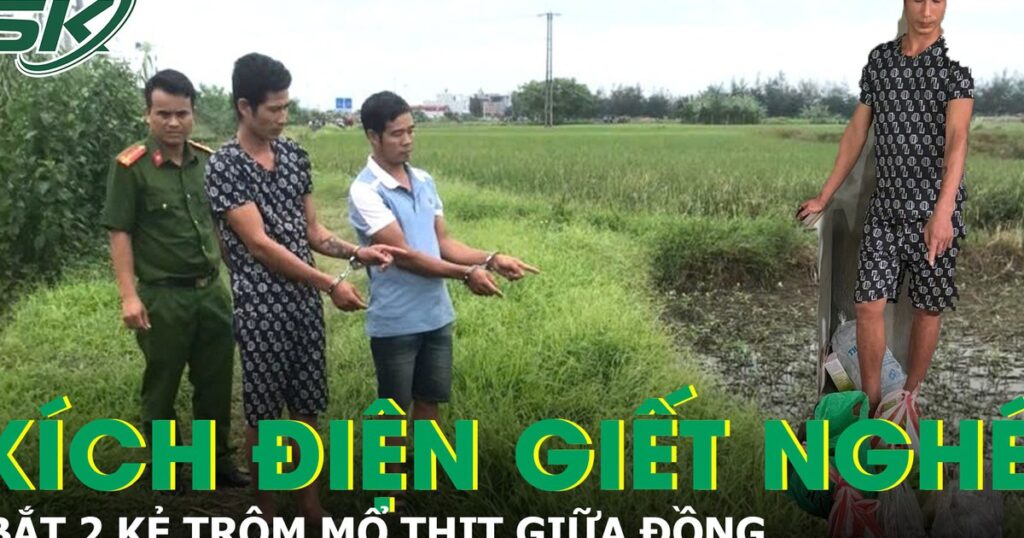 Bắt giữ 2 kẻ kích điện giết nghé, mổ thịt ngay giữa đồng để phi tang