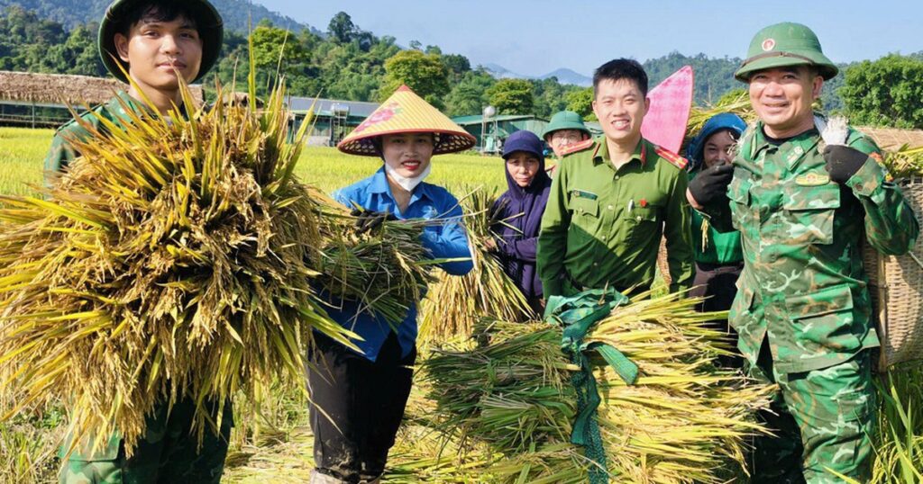 Công an, bộ đội dầm mưa giúp dân cứu lúa sau dông lốc ở Nghệ An