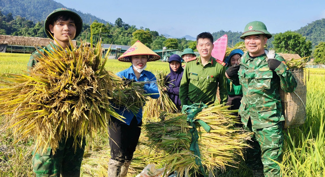 images20964944-1778380461492331179112-1 Công an, bộ đội dầm mưa giúp dân cứu lúa sau dông lốc ở Nghệ An
- Ảnh 1.