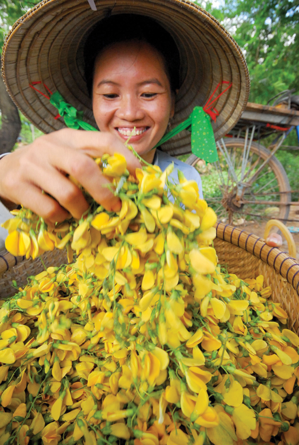 Bông điên điển hỗ trợ làm đẹp da như thế nào? - Ảnh 2.