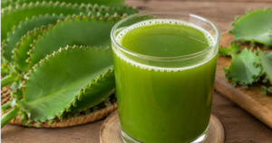 10 tác dụng của nước ép lá bỏng đối với sức khỏe