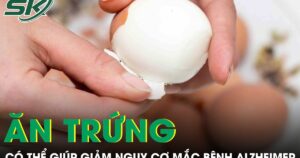 Ăn trứng thường xuyên có thể giúp giảm nguy cơ mắc bệnh Alzheimer