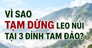 Vì sao tạm dừng leo núi tại 3 đỉnh ở Vườn quốc gia Tam Đảo?