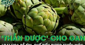 Loại hoa được ví như ‘thần dược’ cho gan, chế biến được nhiều món ngon