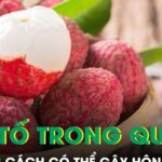 Ăn vải sai cách có thể gây hôn mê, bác sĩ chỉ ra nhóm người cần đặc biệt thận trọng