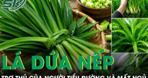 Loại lá rẻ tiền bán đầy chợ được ví như trợ thủ của người tiểu đường và mất ngủ