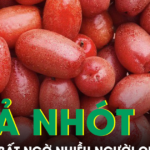 5 lợi ích bất ngờ của quả nhót với sức khỏe, nhiều người chưa biết