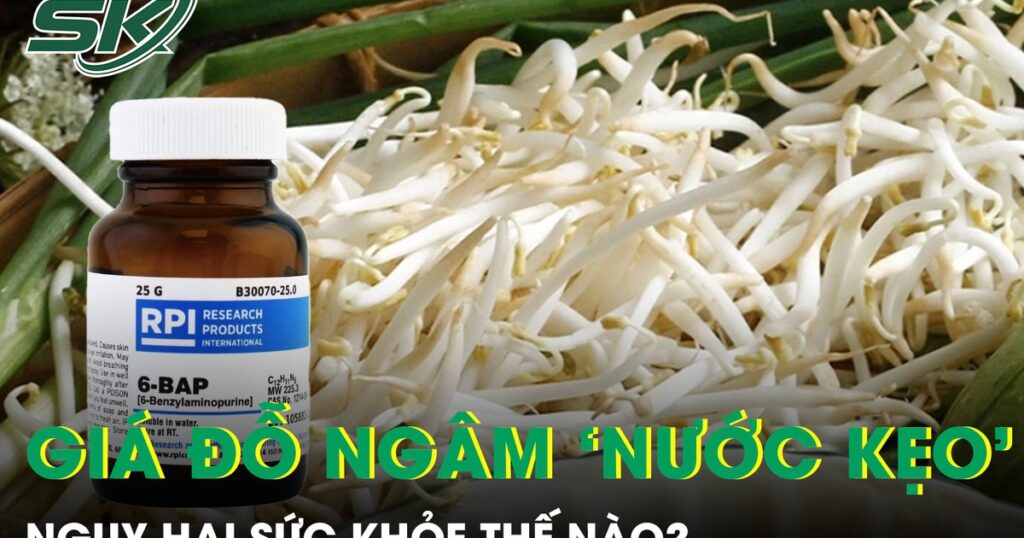 Giá đỗ ngâm hóa chất tuồn ra thị trường nguy hại sức khỏe thế nào?