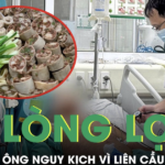 Ăn lòng lợn, người đàn ông nguy kịch vì liên cầu khuẩn