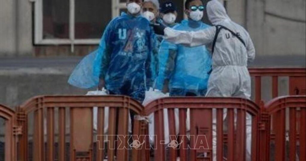 Virus Hanta: EU tăng cường chia sẻ thông tin nhằm nâng cao hiệu quả ứng phó
