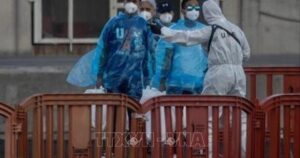 Virus Hanta: EU tăng cường chia sẻ thông tin nhằm nâng cao hiệu quả ứng phó
