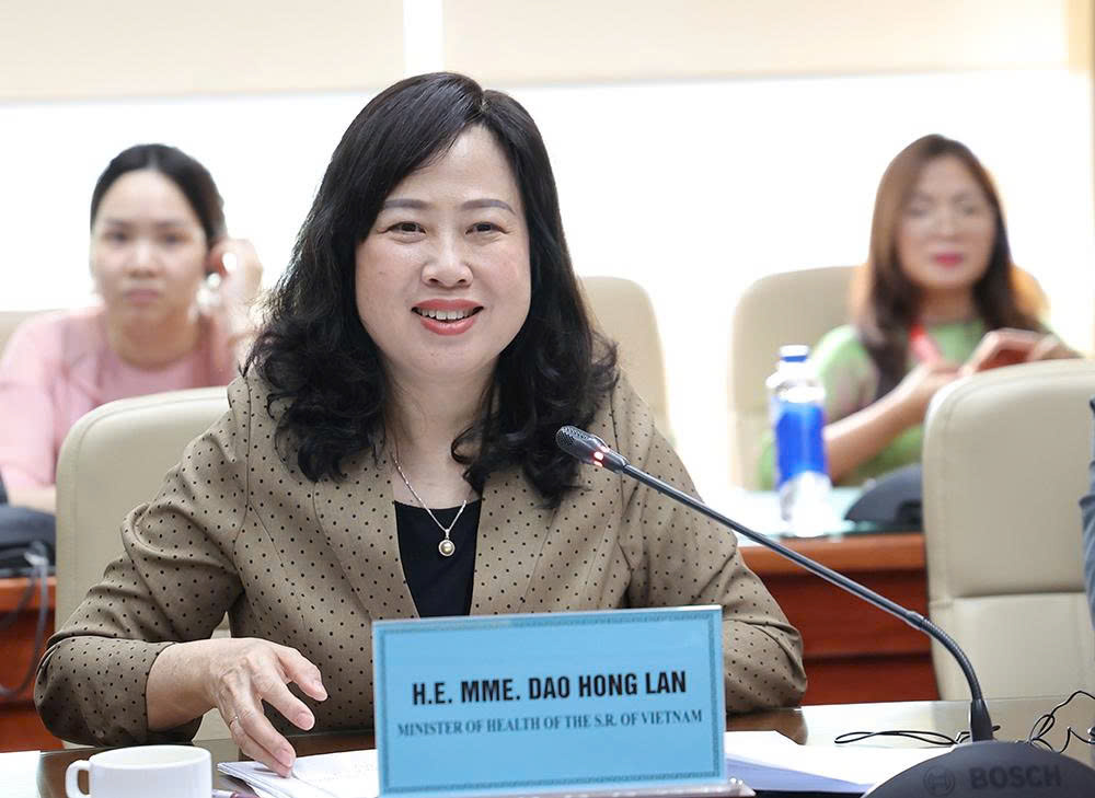 Bộ trưởng Bộ Y tế Đào Hồng Lan tiếp, làm việc với Chủ tịch Liên đoàn Nha khoa Thế giới- Ảnh 1.