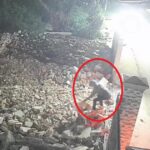 Cẩu tặc táo tợn bắt chó ngay trước mặt chủ nhà rồi lao xe đe dọa