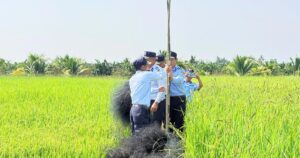 Loài chim tạo nên đặc sản nổi tiếng bị giăng nhiều ‘lưới tàng hình’ săn bắt
