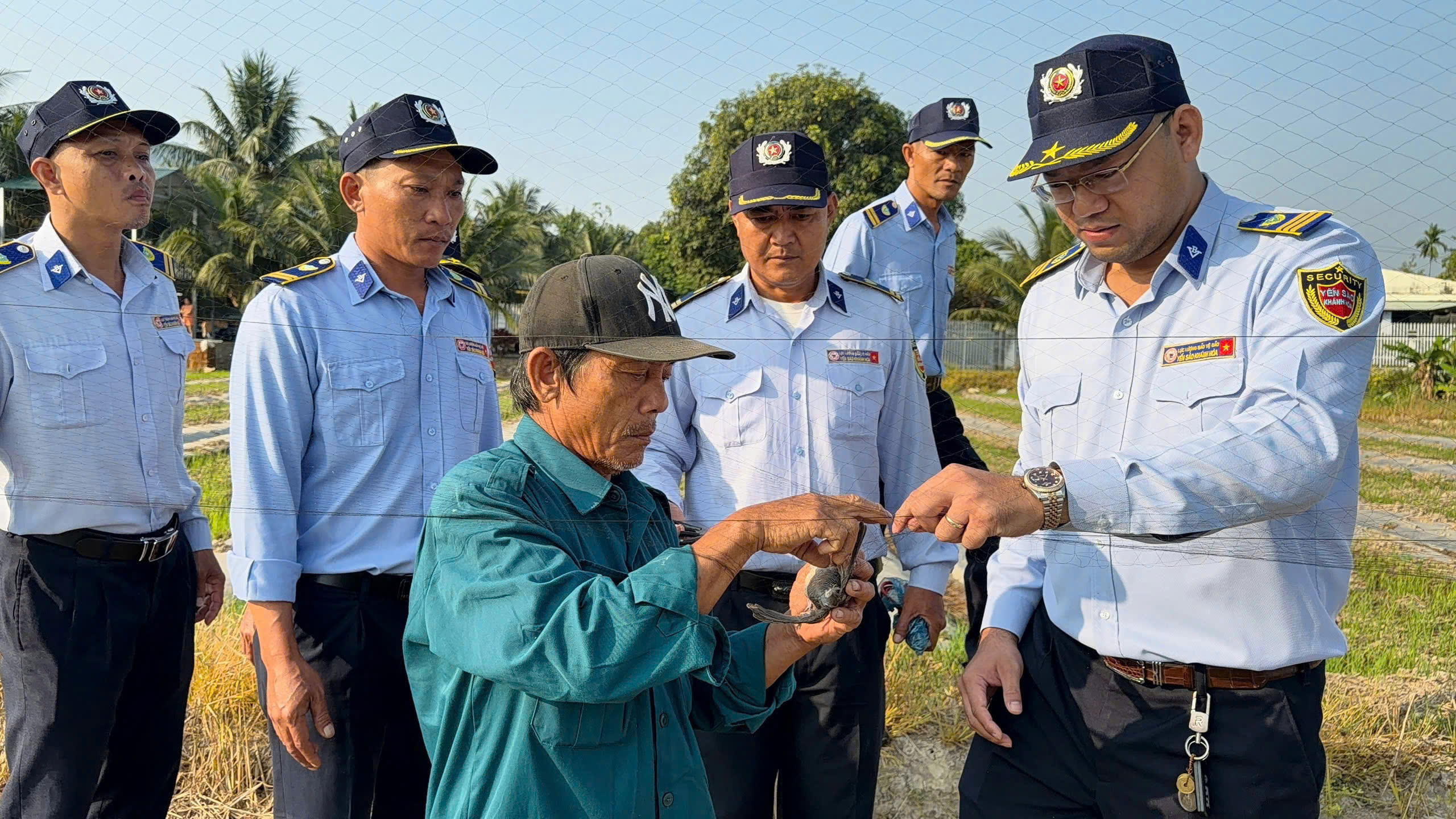 Loài chim tạo nên đặc sản nổi tiếng bị giăng nhiều 'lưới tàng hình' săn bắt- Ảnh 4.