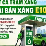 Những chính sách mới nào có hiệu lực từ tháng 6/2026?