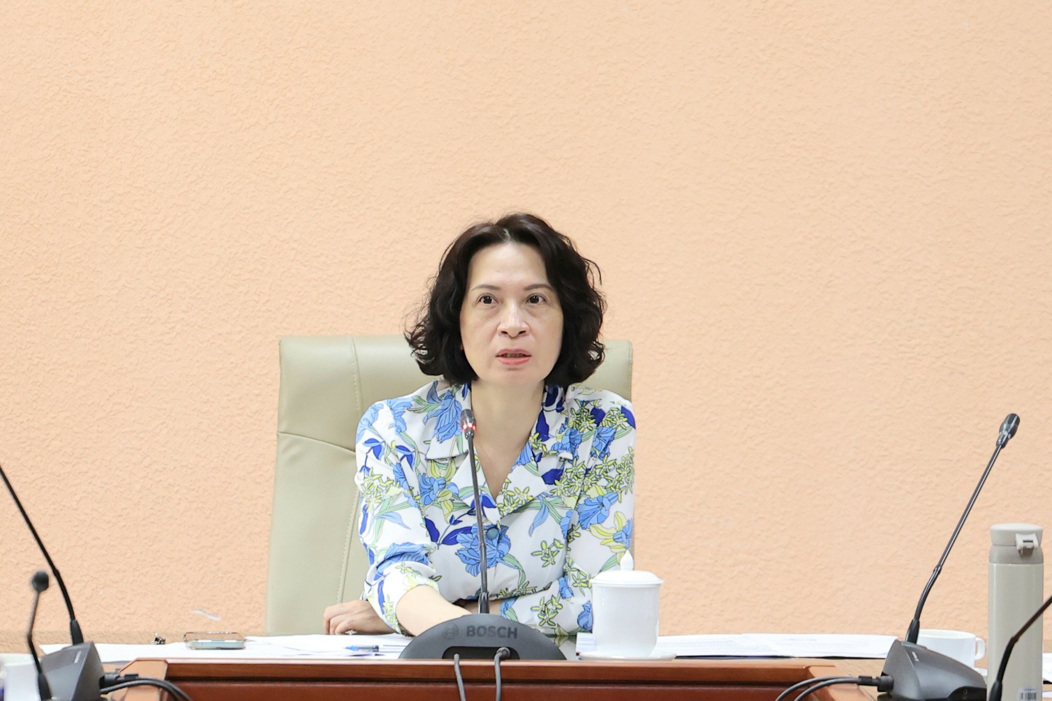 Thứ trưởng Bộ Y tế yêu cầu rà soát toàn bộ năng lực ứng phó với dịch bệnh Ebola- Ảnh 1.