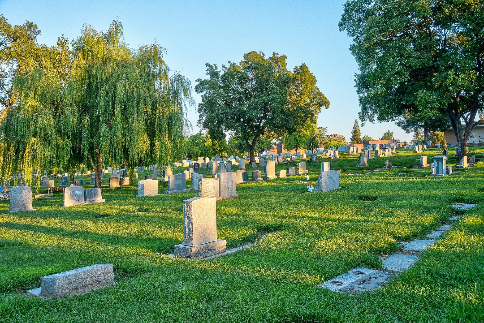 eastlawnmemorialparksmortuariescover-17803872998441787610702 Bí mật 'sốc' dưới lòng nghĩa trang ở New York được vén màn sau hơn 1 thế kỷ- Ảnh 1.