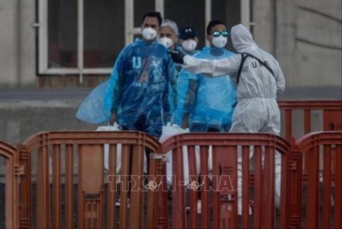 Virus Hanta: EU tăng cường chia sẻ thông tin nhằm nâng cao hiệu quả ứng phó- Ảnh 1.