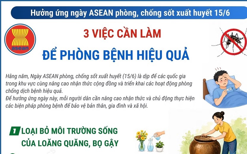 Ngày Sốt xuất huyết thế giới 15/6: Chủ động diệt muỗi, loại bỏ lăng quăng để ngăn dịch bệnh - Ảnh 2.
