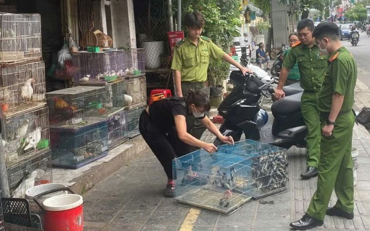 Loài chim tạo nên đặc sản nổi tiếng bị giăng nhiều 'lưới tàng hình' săn bắt- Ảnh 5.