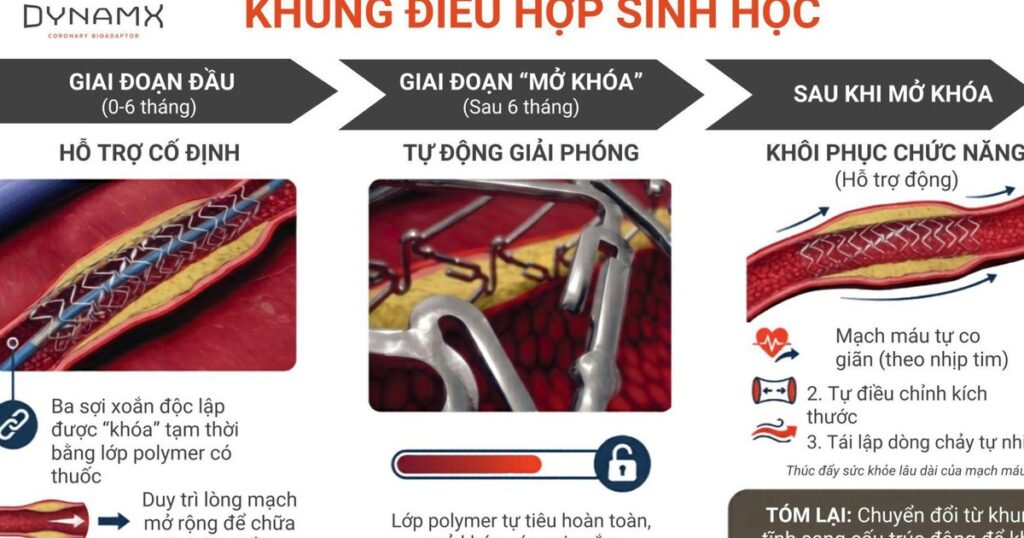 Khung điều hợp sinh học chứng minh giảm vượt trội tỷ lệ biến cố tim mạch sau 4 năm – kết quả nghiên cứu mới được công bố tại Hội nghị Tim mạch Châu Âu 2026
