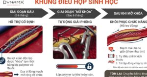 Khung điều hợp sinh học chứng minh giảm vượt trội tỷ lệ biến cố tim mạch sau 4 năm – kết quả nghiên cứu mới được công bố tại Hội nghị Tim mạch Châu Âu 2026