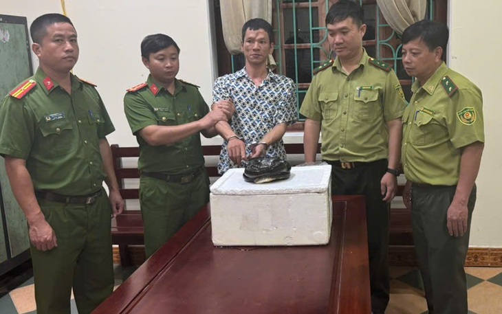 Mua rắn hổ chúa để sử dụng, người đàn ông bị khởi tố