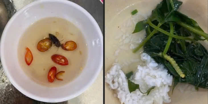 Sở Y tế TP Huế thông tin kết quả xác minh phản ánh 'canh rau có sâu'- Ảnh 1.