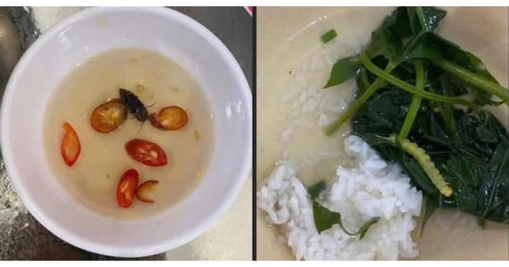 Sở Y tế TP Huế thông tin kết quả xác minh phản ánh ‘canh rau có sâu’
