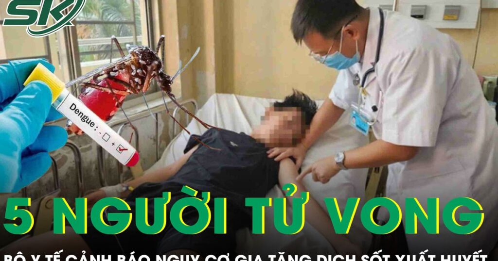 5 người tử vong vì sốt xuất huyết, Bộ Y tế lên tiếng cảnh báo