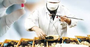 Thuốc y học cổ truyền mới chiếm hơn 5% chi BHYT, đề xuất mở rộng danh mục thanh toán