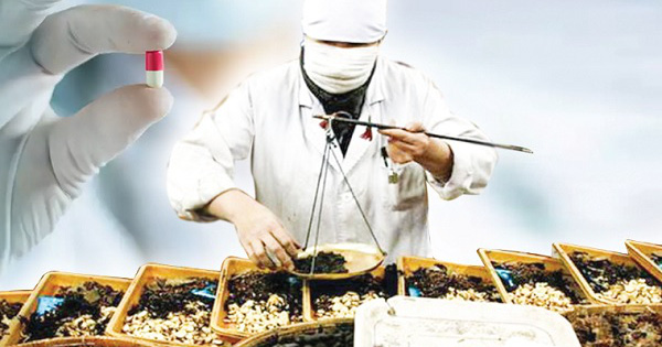 Thuốc y học cổ truyền mới chiếm hơn 5% chi BHYT, đề xuất mở rộng danh mục thanh toán- Ảnh 1.